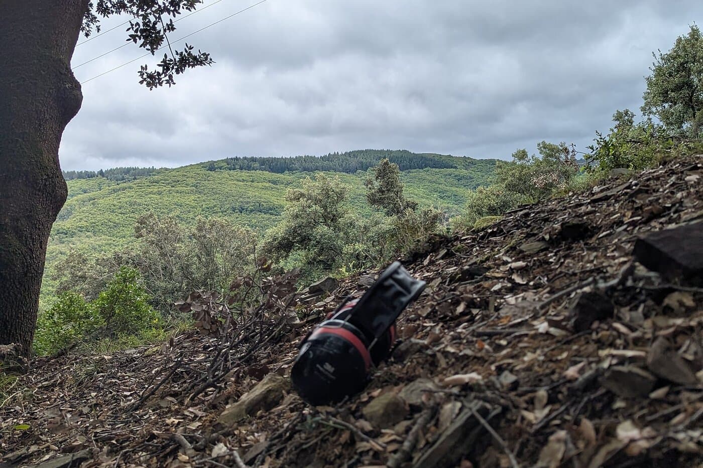 Récolte de bois de chêne en Occitanie, dans les collines autour de Tourbes (Hérault)