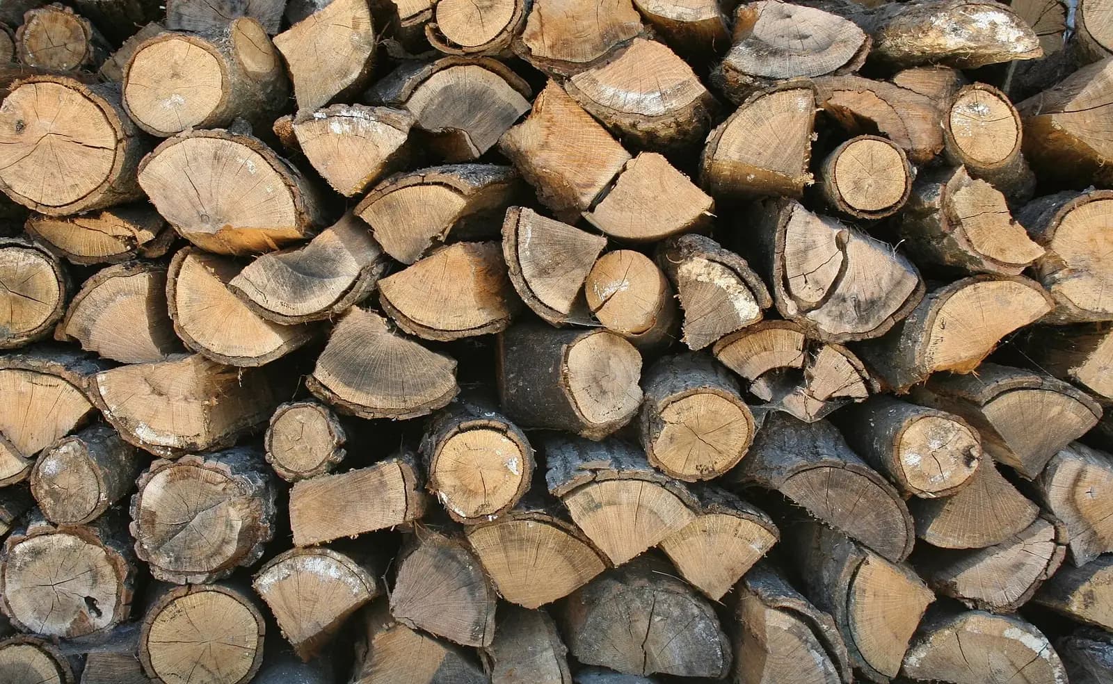 Quel bois pour son barbecue ? Le guide complet (et les bois à éviter)